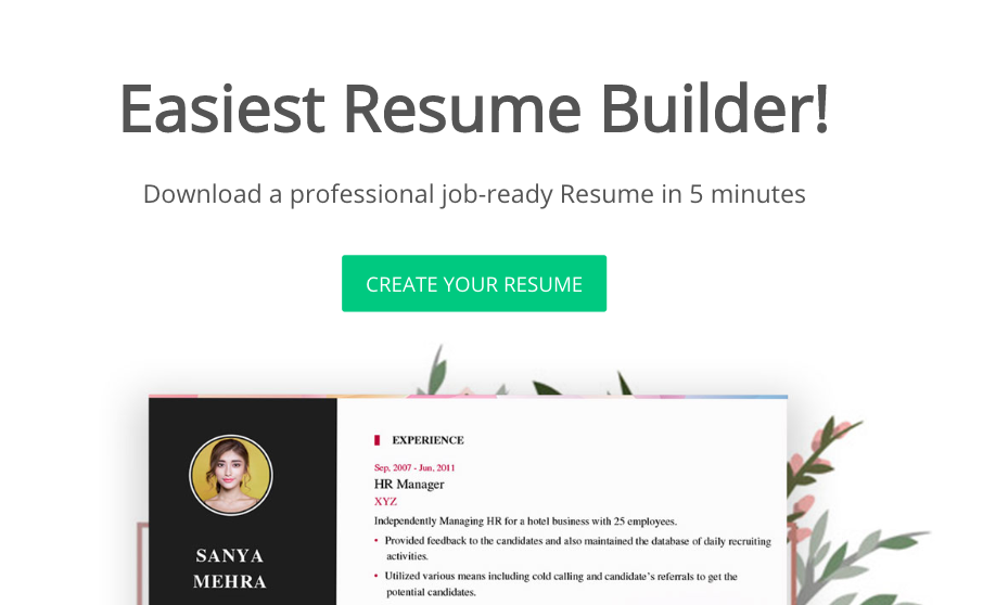 My Resume Format