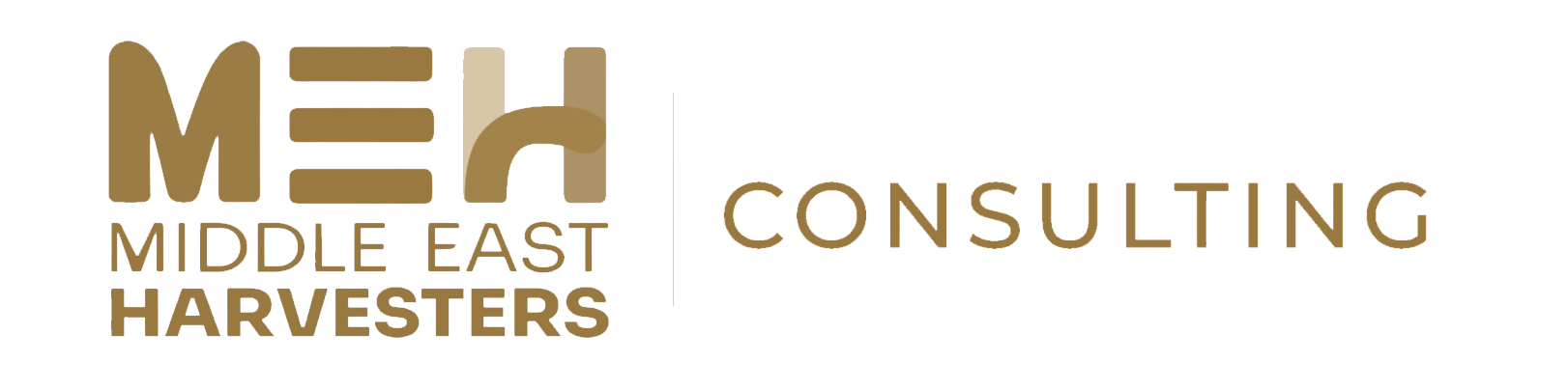 MEH Consulting Dubai logo