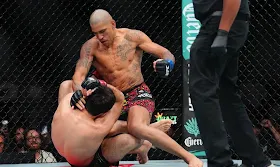 Predwit Power Play: From MMA Showdowns to Olympic Scheduling – Betting Insights You Can’t Miss