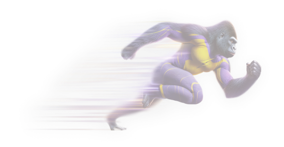 Flash Bonds launch