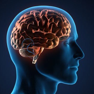 العقل الباطن: المحرك الخفي لحياتنا