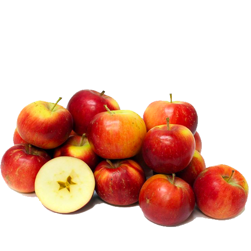 Apples Rubigold Budget per KG
