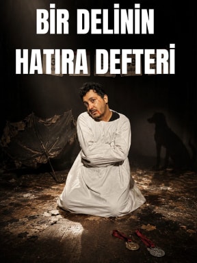 Bir Delinin Hatıra Defteri