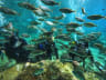 Antalya Dream Diving