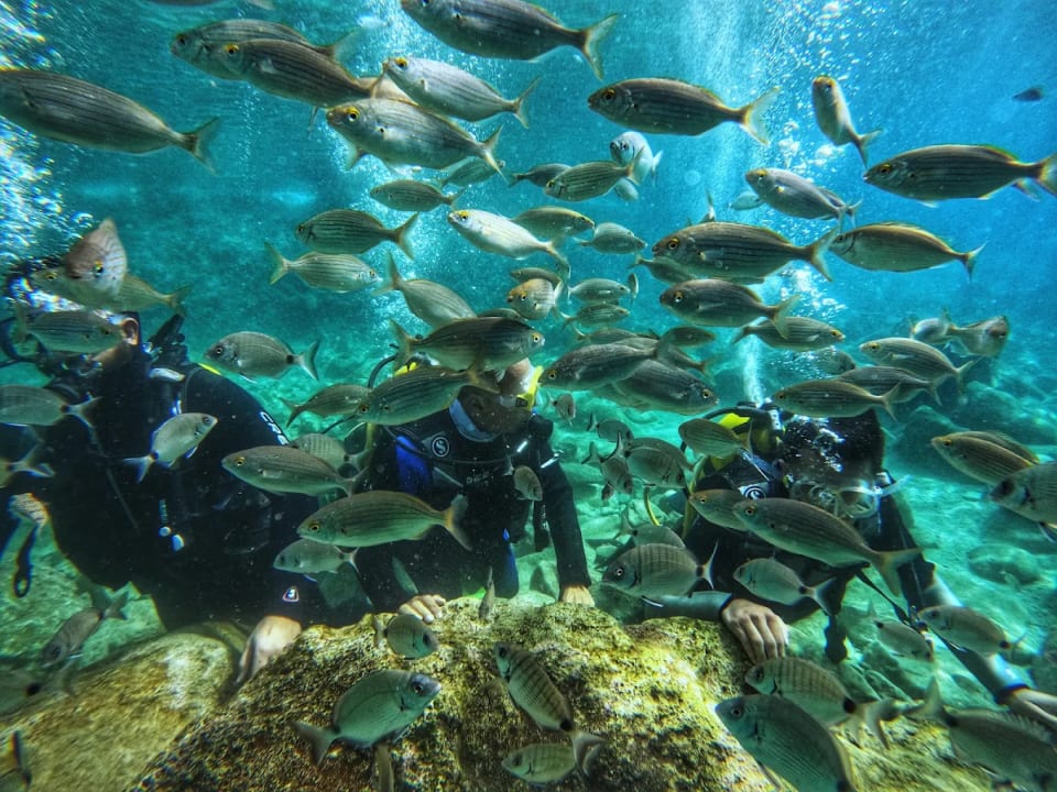 Antalya Dream Diving