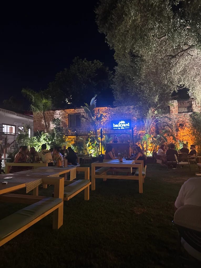 Backyard by olde