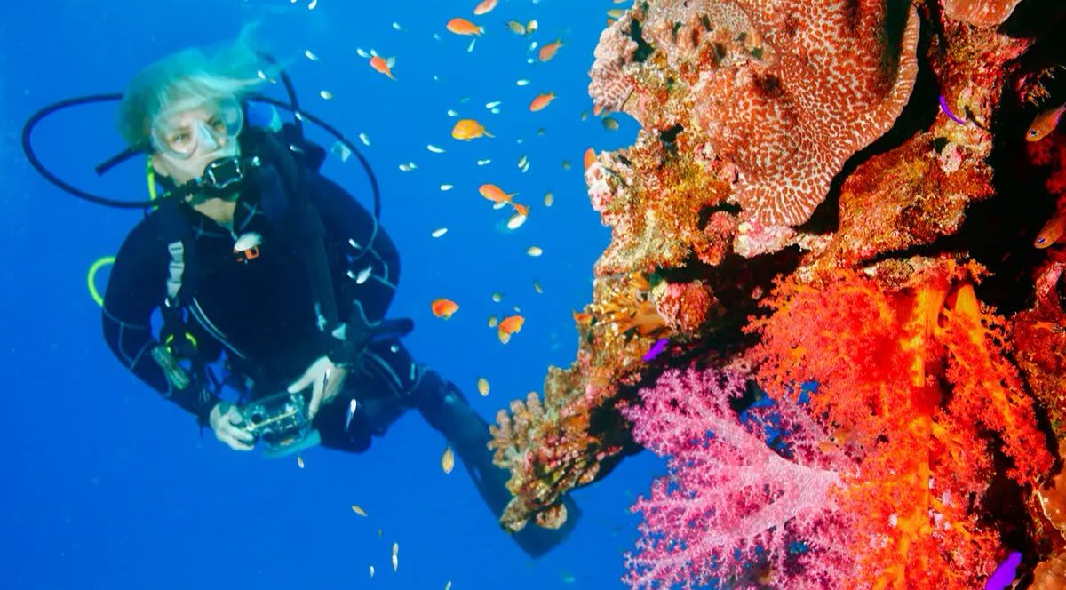 Antalya Adrenalin - Tüplü Dalış Scuba Diving - Kapak Fotoğrafı