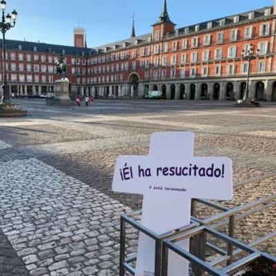 Plaza Mayor knows