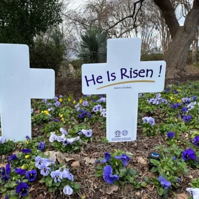 Easter Cross anxious to declare