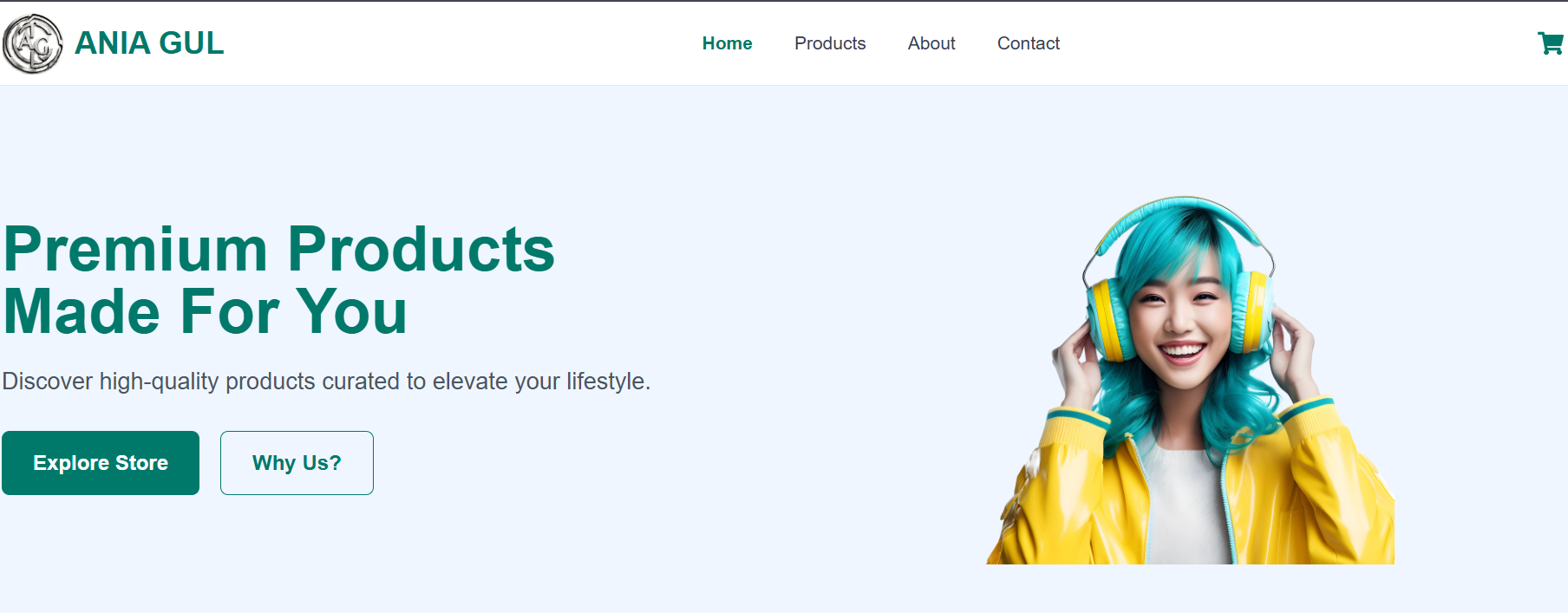 Muhammad Faizan - Full Stack Developer - Software Engineer