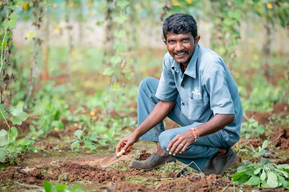 A person in a hat looking out over a landscape