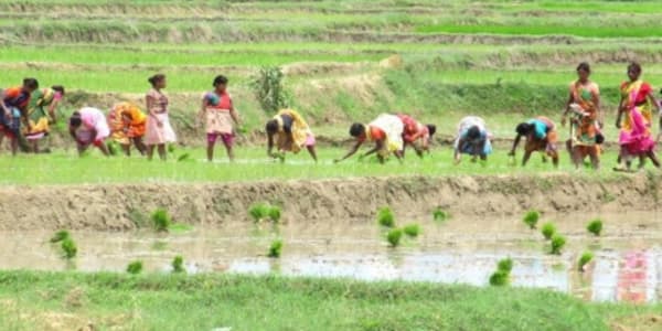 Featured image for: {title}