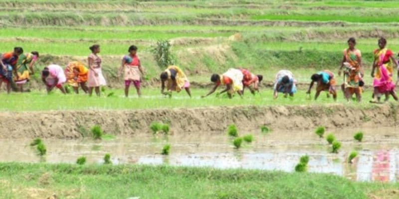 Featured image for: {title}