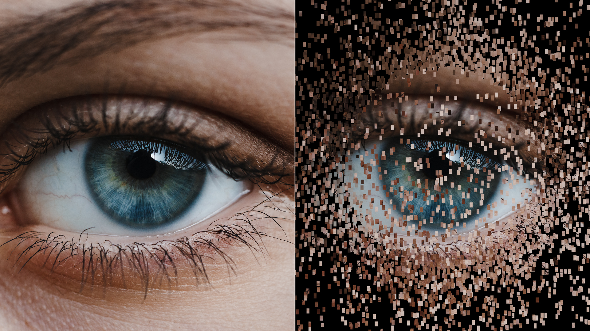 2D Particles