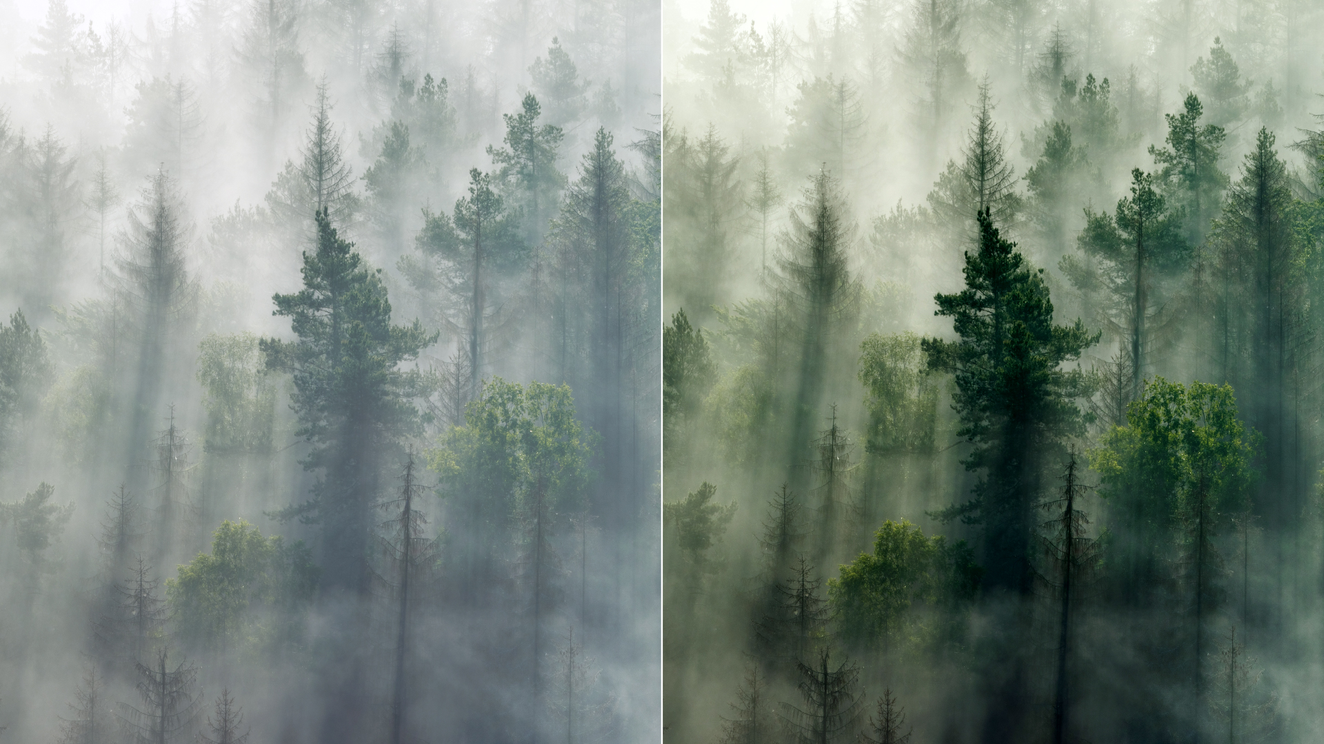 Haze