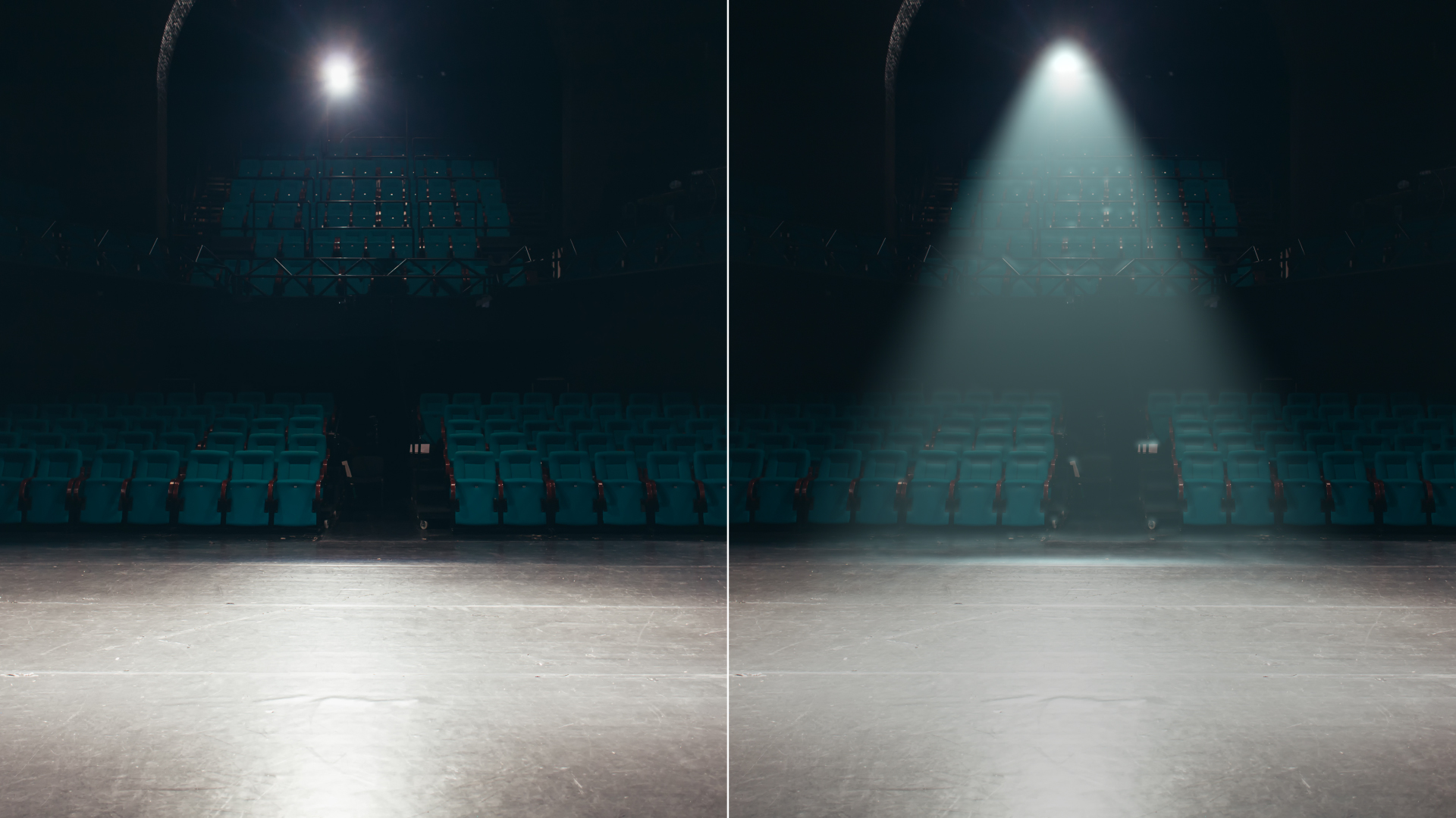 Spotlight