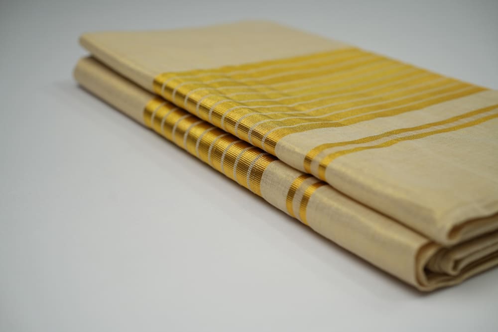 Handloom Tissue Saree - image 4