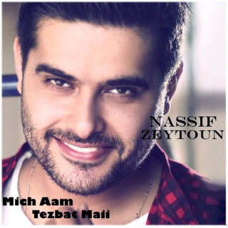 اغنية الأرض للي بتمشي عليها نصيف زيتون بالكلمات كلمات اغنية الأرض للي بتمشي عليها نصيف زيتون مكتوبة كاملة