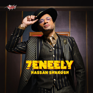 كلمات مهرجان حنيلي