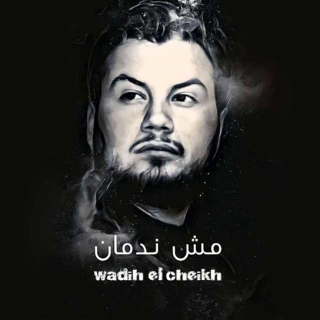 مش ندمان مش ندمان