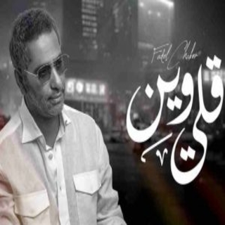 قلي وين قلي وين