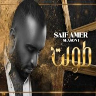 اغنية طولت سيف عامر بالكلمات كلمات اغنية طولت سيف عامر مكتوبة كاملة