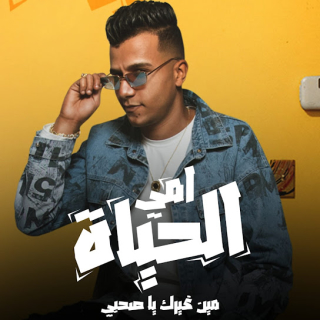 كلمات مهرجان امي الحياه