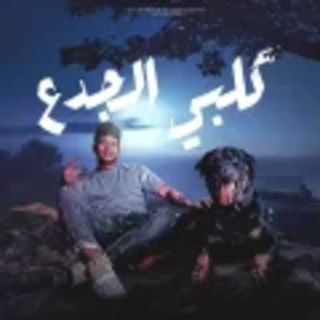 كلمات مهرجان كلبي الجدع بتشرف بيه