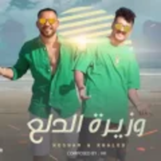 كلمات مهرجان وزيرة الدلع