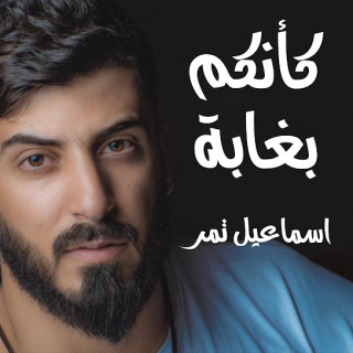 كأنكم بغابة