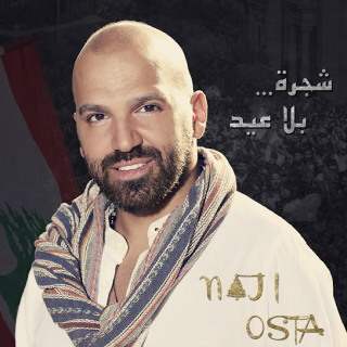 شجرة بلا عيد شجرة بلا عيد