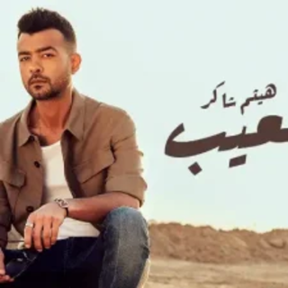 العيب العيب