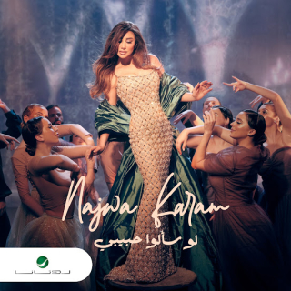 لو سألوا حبيبي لو سألوا حبيبي