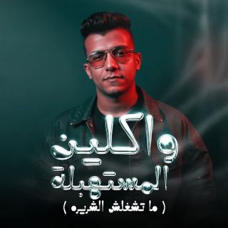 كلمات مهرجان واكلين المستهبلة