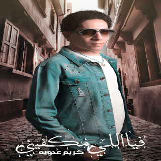 كلمات مهرجان فيا اللى مكفينى