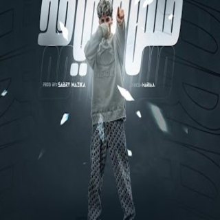 كلمات مهرجان مش على حد