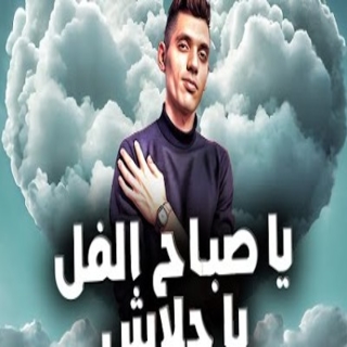 كلمات مهرجان ياصباح الفل يا جلاش