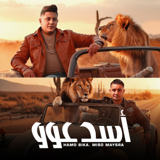 كلمات مهرجان اسد عوو