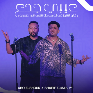 كلمات مهرجان عيبي جدع