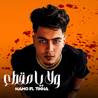 كلمات مهرجان ولا يا مقطع