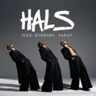 كلمات مهرجان هلس