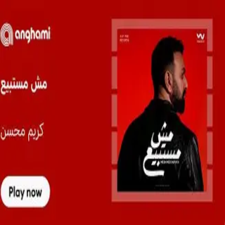 مش مستبيع مش مستبيع