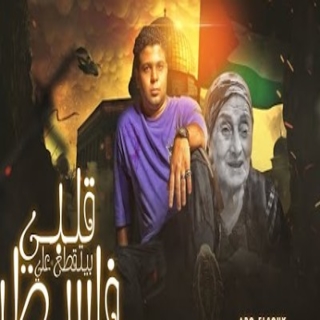 كلمات مهرجان قلبى بيتقطع على فلسطين