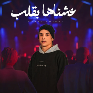 كلمات مهرجان عشناها بقلب