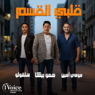 كلمات مهرجان قلبي اتقسم