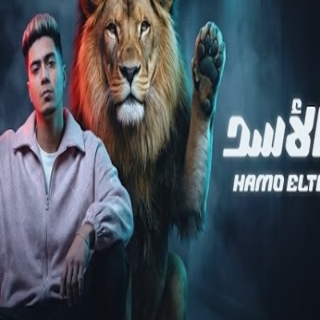 كلمات مهرجان زى الاسد واقف وتد