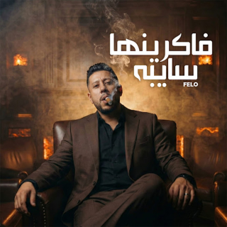 كلمات مهرجان فاكرينها سايبه