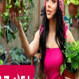 كلمات اغنية يا حبيبي - Ya Habibi single lyrics