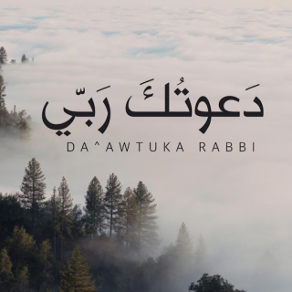 دعوتك ربّي دعوتك ربّي