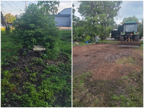 Stump grinding in Tampa, FL: Stump and embedded stone base fully ground out and cleared, restoring usable space along the property line.